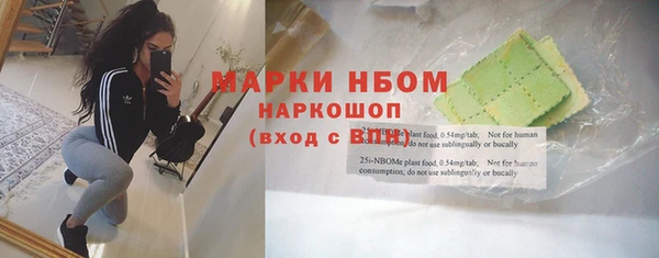 хмурый Алзамай