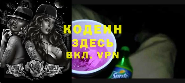 хмурый Алзамай