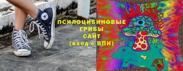 хмурый Алзамай