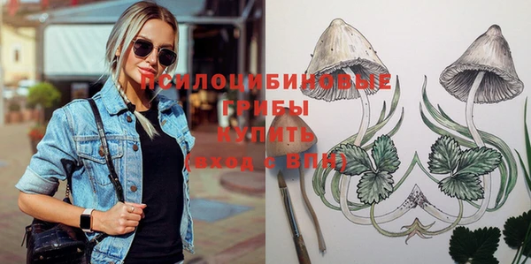 ПСИЛОЦИБИНОВЫЕ ГРИБЫ Алексеевка