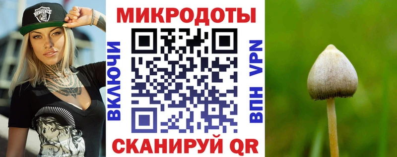 наркошоп  Саки  Галлюциногенные грибы MAGIC MUSHROOMS 